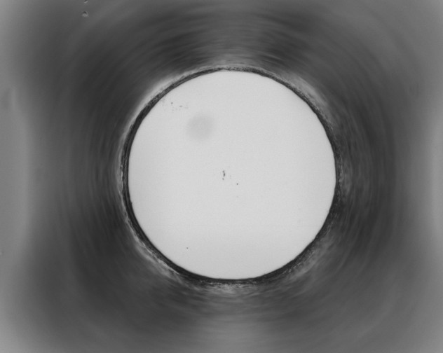 X0000088470950200705220938