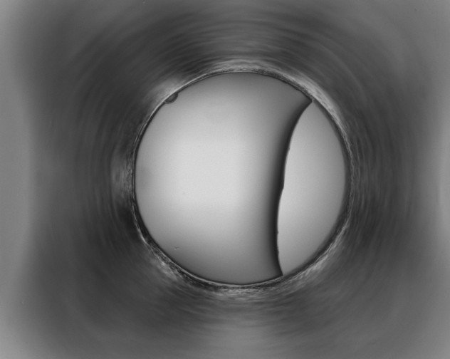 X0000088470953200705220938