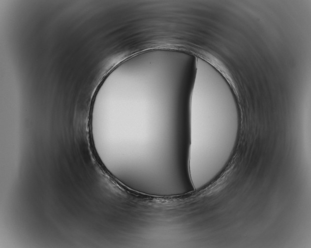 X0000088470954200705220938