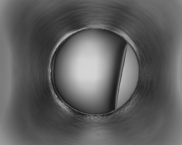 X0000088470955200705220938