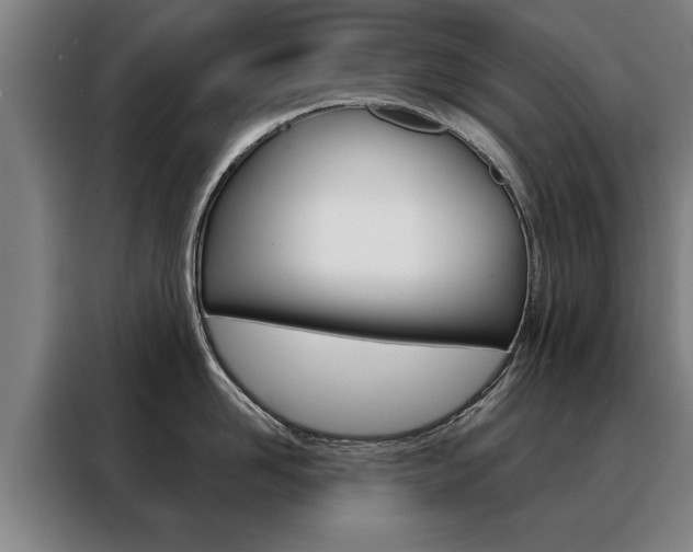 X0000088470958200705220938
