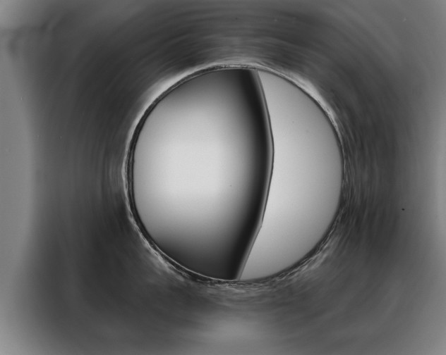 X0000088470959200705220938