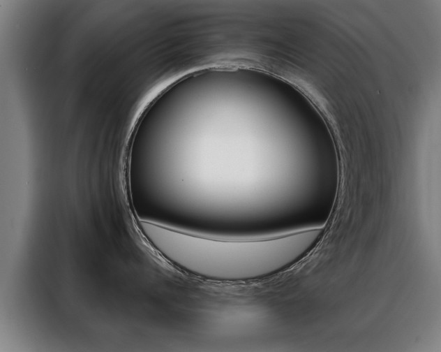 X0000088470960200705220938