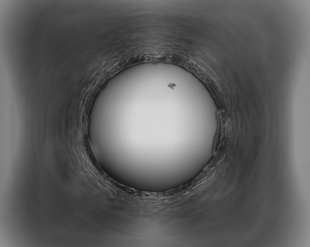 X0000088470961200705220937