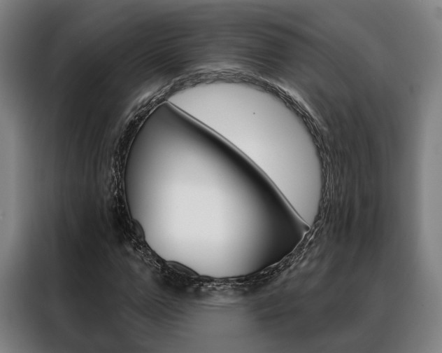 X0000088470967200705220937