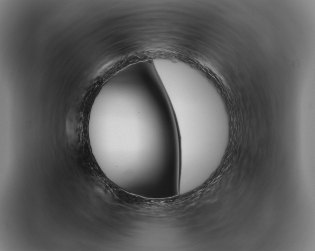 X0000088470968200705220937