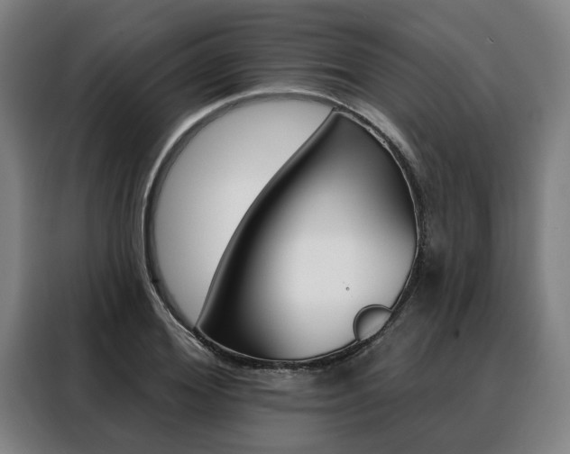 X0000088470980200705220937