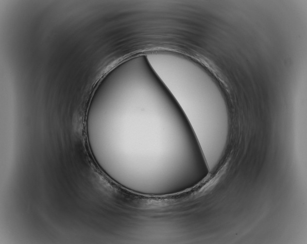 X0000088470985200705220937