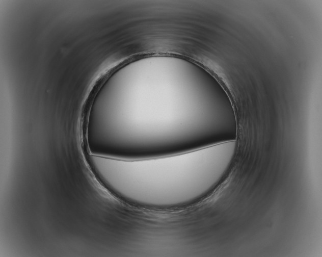 X0000088470987200705220937