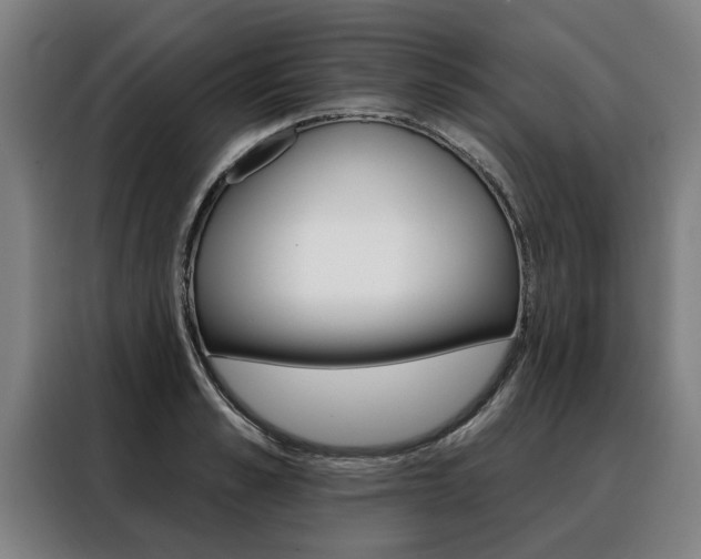 X0000088470989200705220937