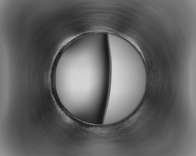 X0000088470995200705220937