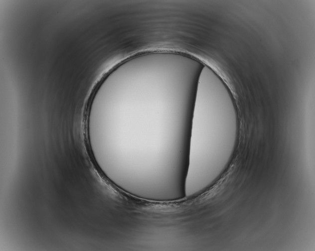 X0000088470998200705220937