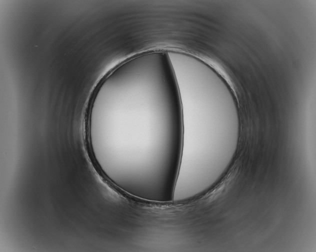 X0000088470999200705220937
