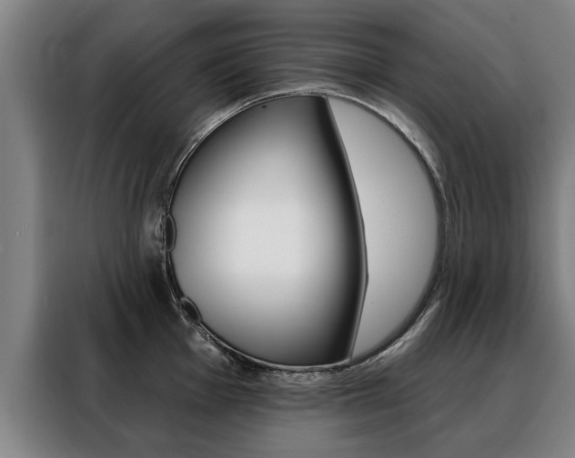 X0000088471001200705220937
