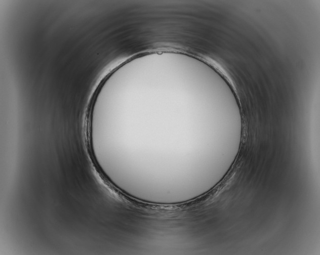 X0000088471003200705220937