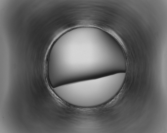 X0000088471004200705220937