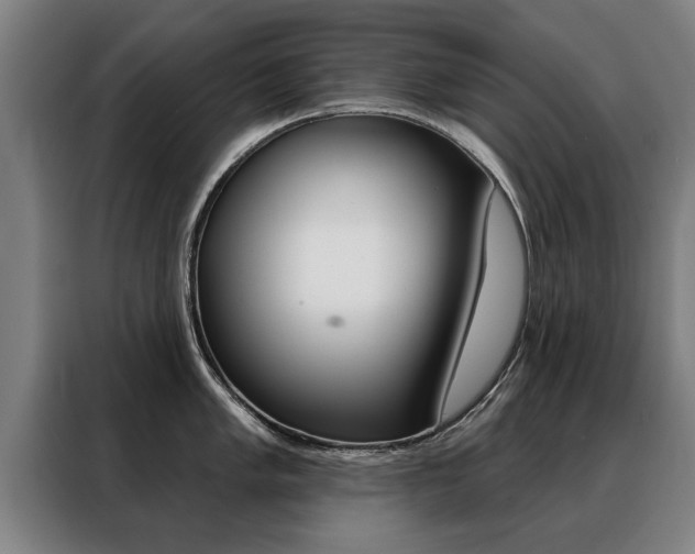 X0000088471005200705220937