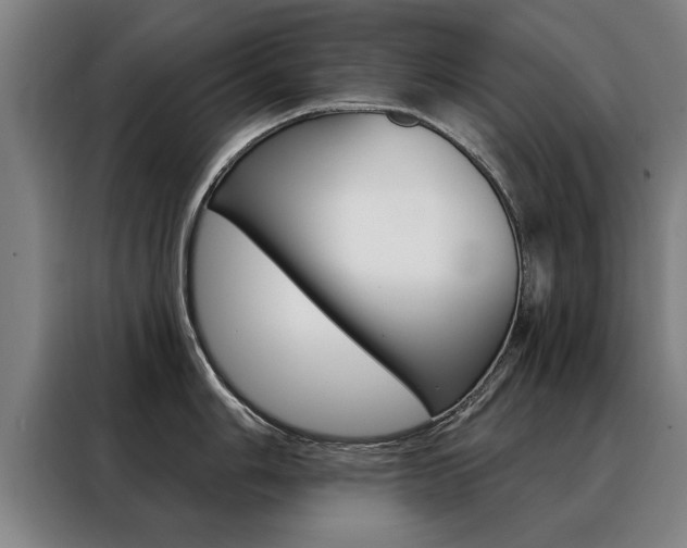 X0000088471006200705220937