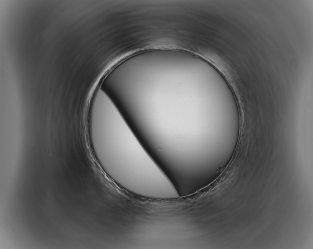X0000088471008200705220936