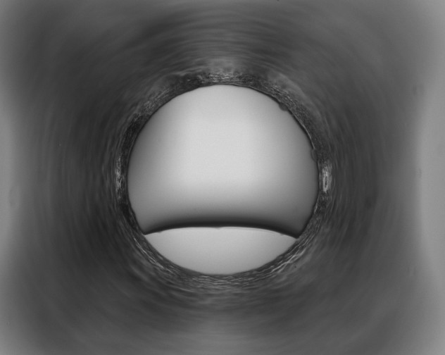X0000088471011200705220936