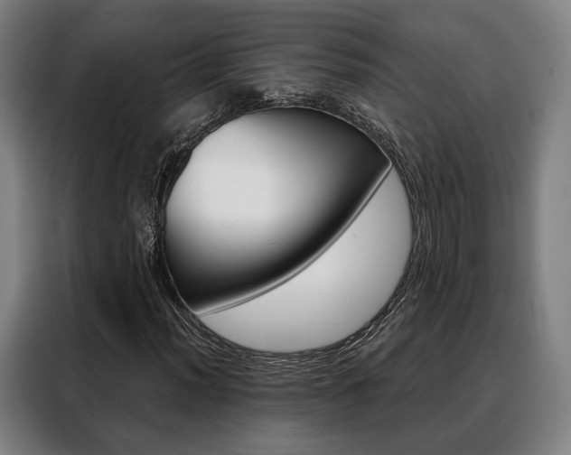 X0000088471012200705220936