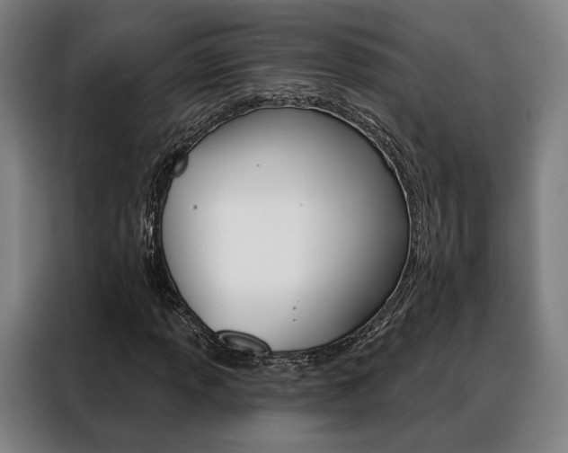 X0000088471013200705220936
