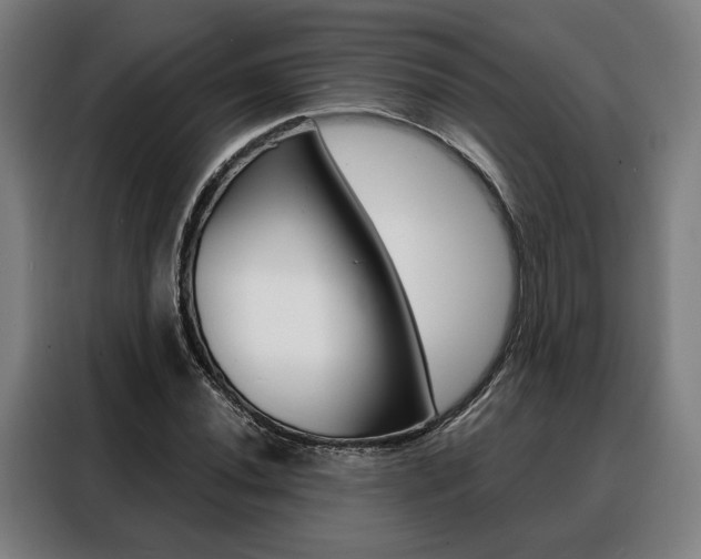 X0000088471020200705220936