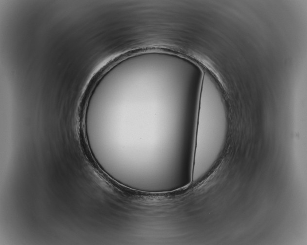 X0000088471024200705220936