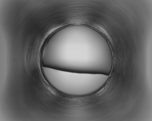 X0000088471035200705220936