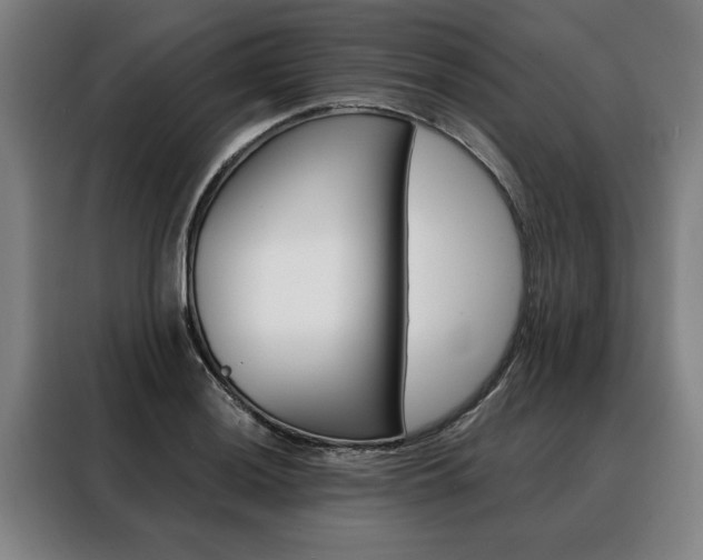 X0000088471036200705220936