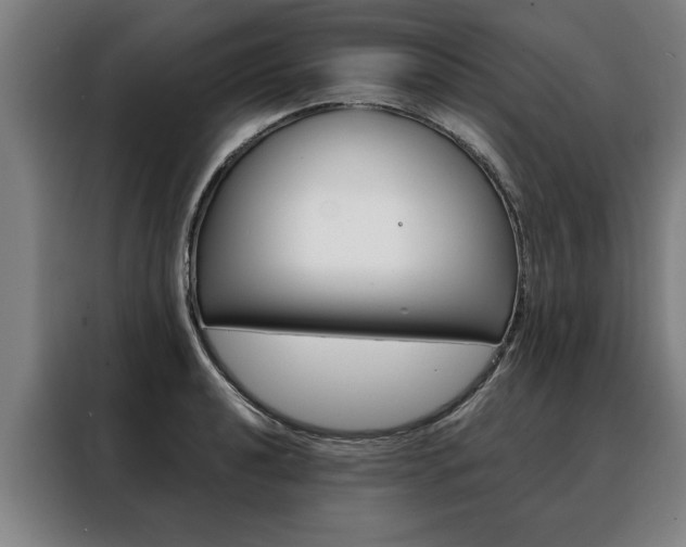 X0000088471040200705220936