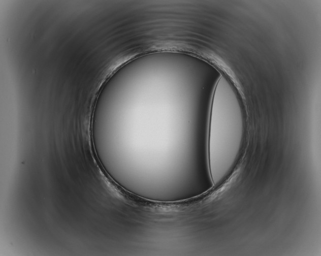 X0000088471041200705220936