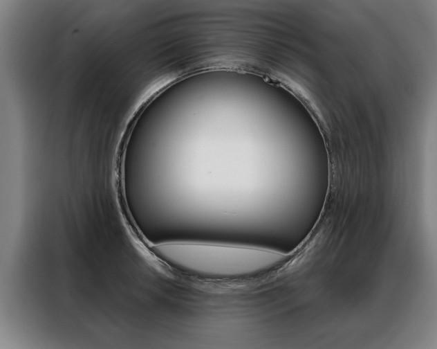 X0000088471042200705220936