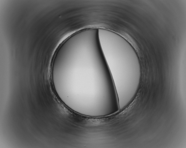 X0000088471044200705220936