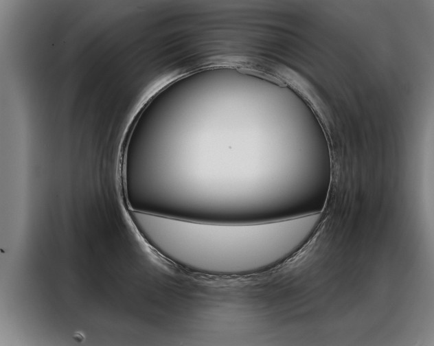 X0000088471050200705220936