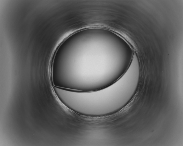 X0000088471054200705220936