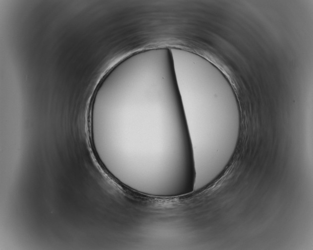 X0000088471055200705220936
