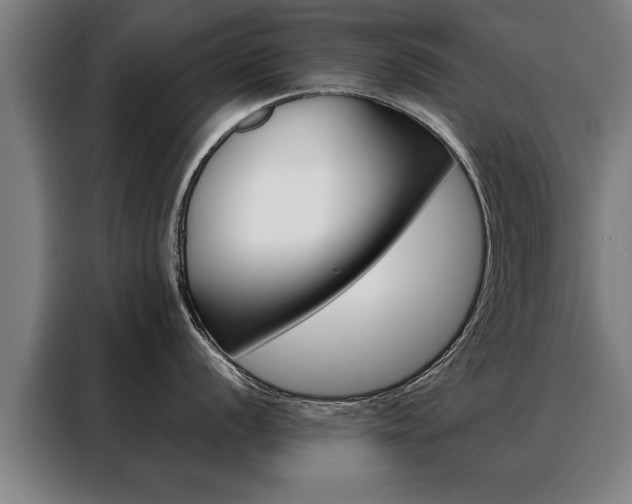 X0000088471056200705220936