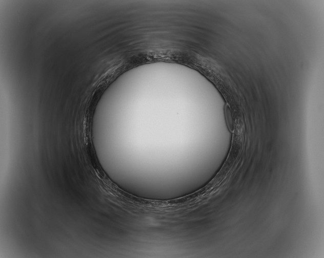 X0000088471060200705220936