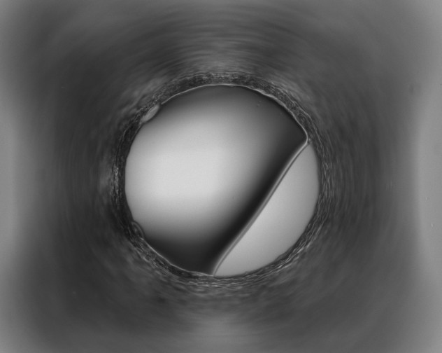 X0000088471061200705220936