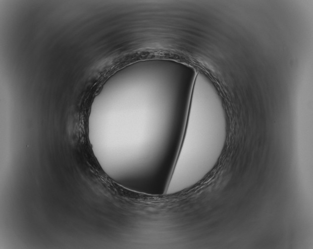 X0000088471062200705220936