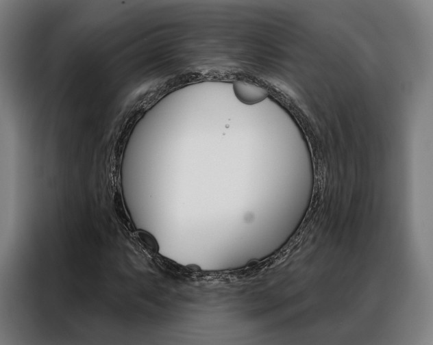 X0000088471063200705220936