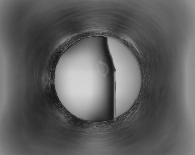 X0000088471064200705220936