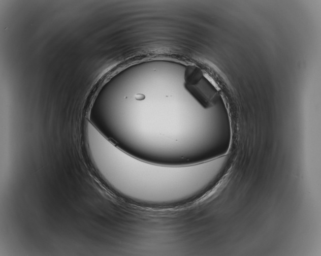 X0000088471065200705220936