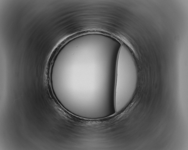 X0000088471068200705220936