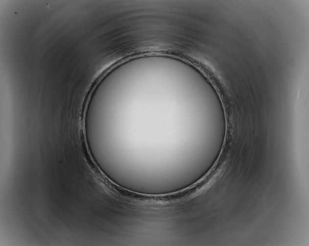 X0000088471073200705220935