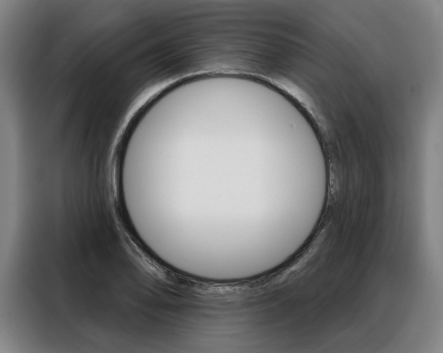 X0000088471078200705220935