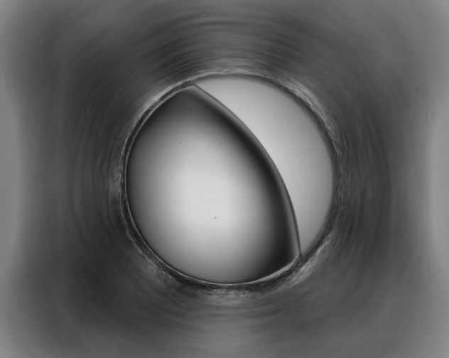 X0000088471081200705220935