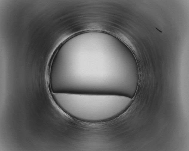 X0000088471084200705220935