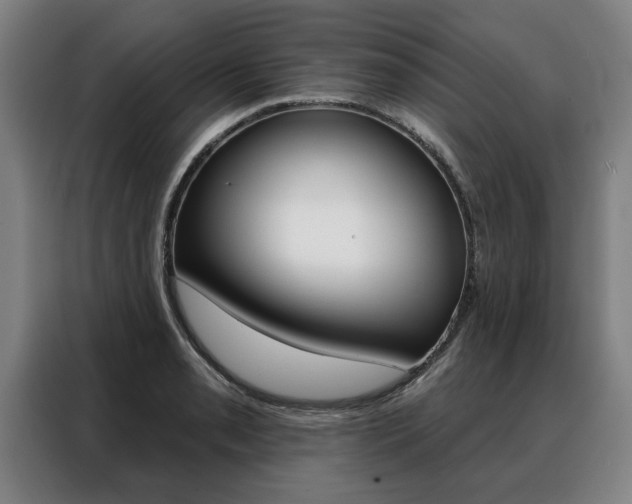 X0000088471085200705220935